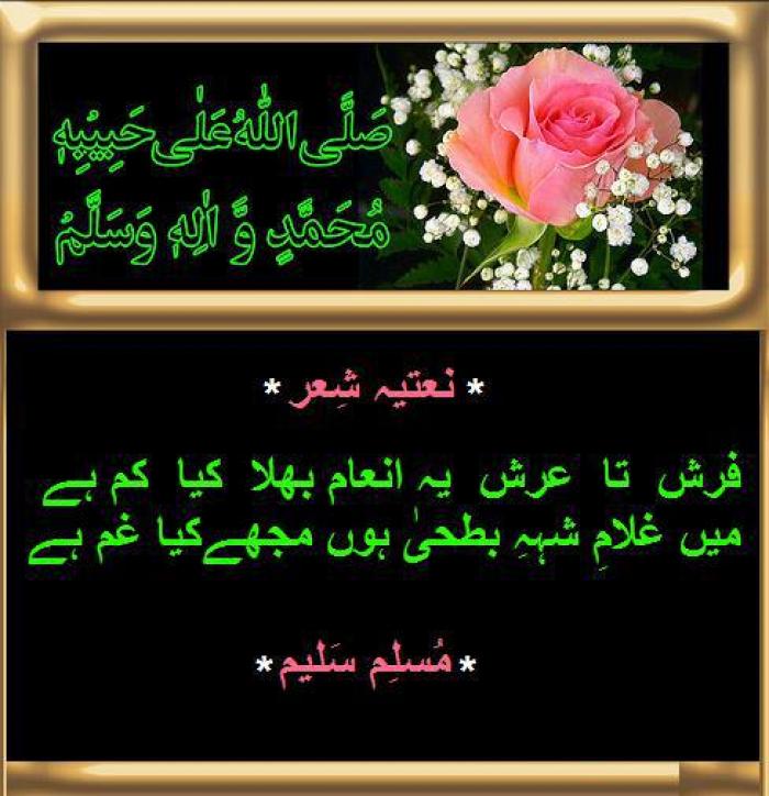 Muslim_Saleem_864741376411917.jpg