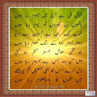 S H Ali Waqar Shah