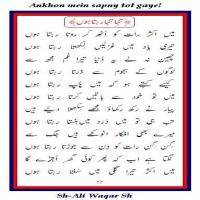 S H Ali Waqar Shah