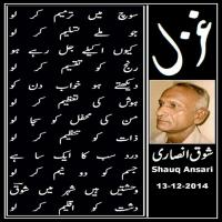 Shauq Ansari