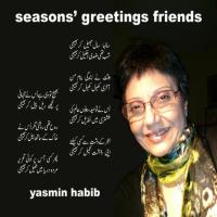 Yasmin Habib